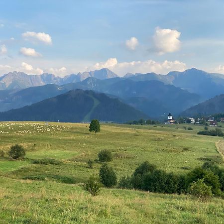 Apartament Pod Wierchem Zakopane Eksteriør billede