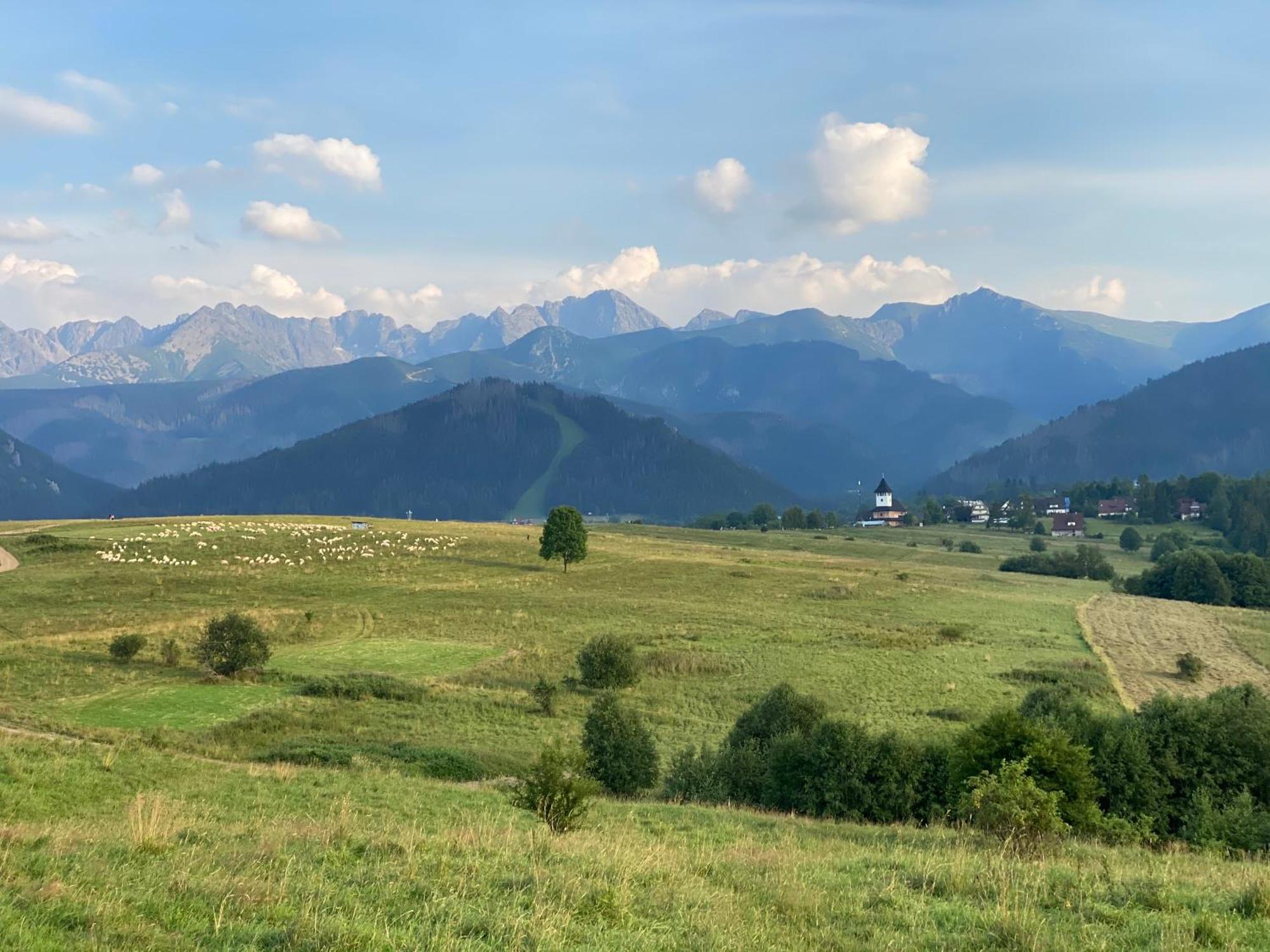 Apartament Pod Wierchem Zakopane Eksteriør billede